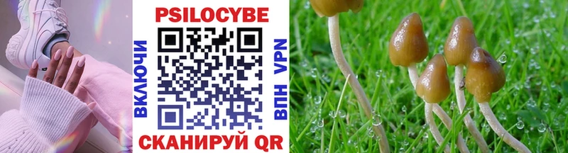магазин    Кинешма  hydra ССЫЛКА  Псилоцибиновые грибы прущие грибы 